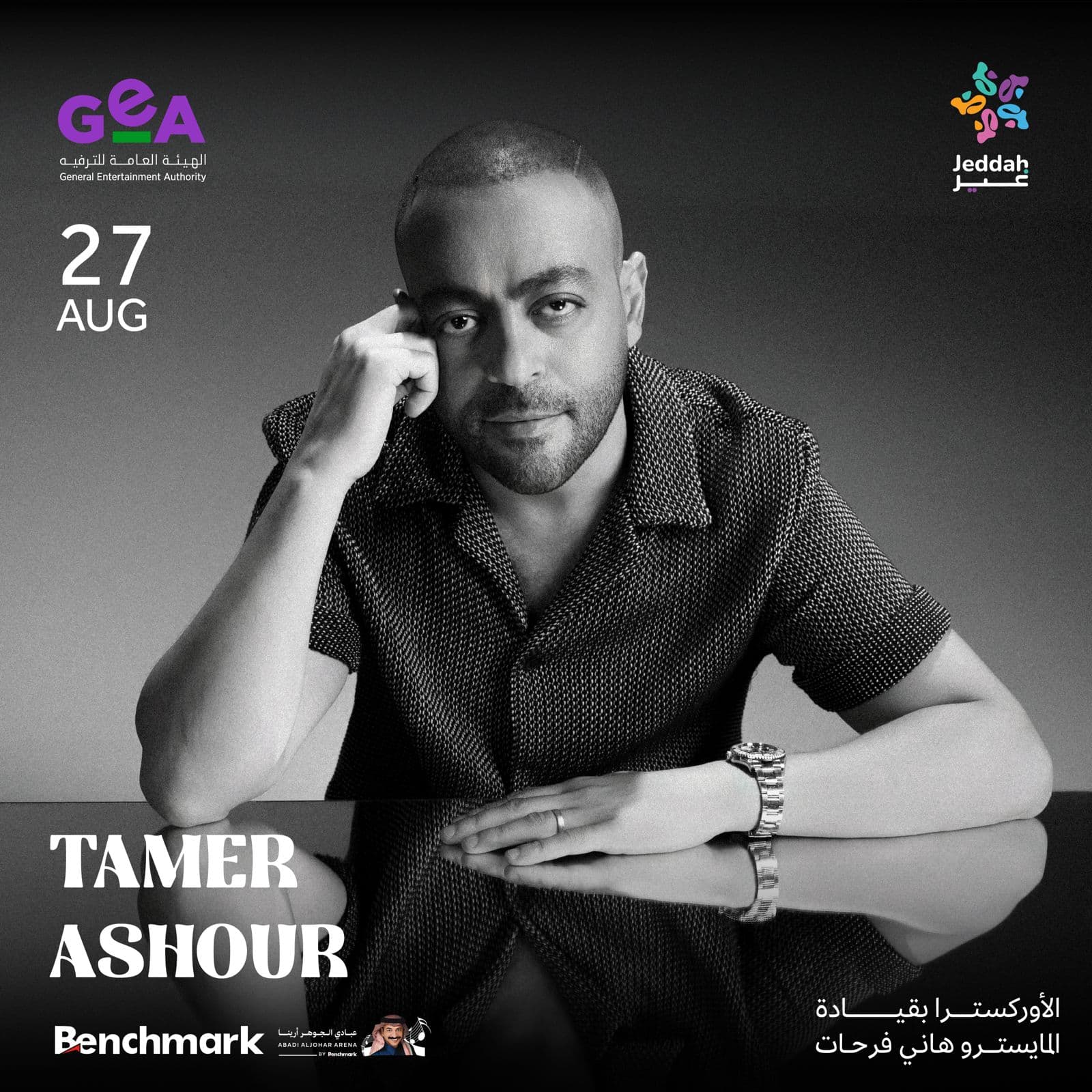 Tamer Ashour Concert 