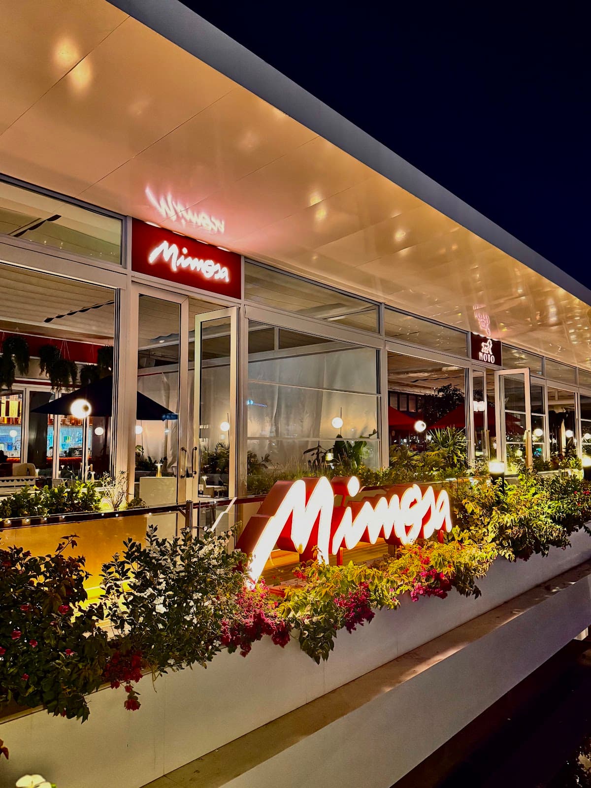 Mimosa Jeddah - ميموزا جدة