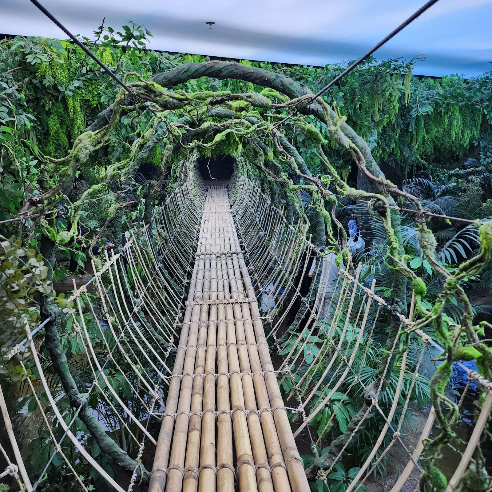 TROPICAL LAND