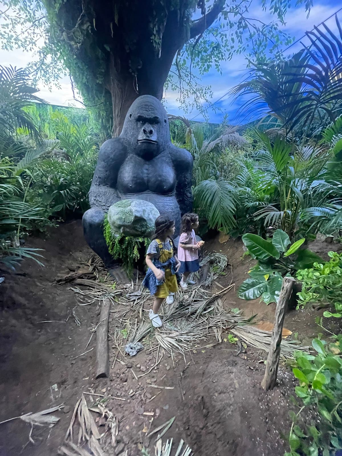 TROPICAL LAND