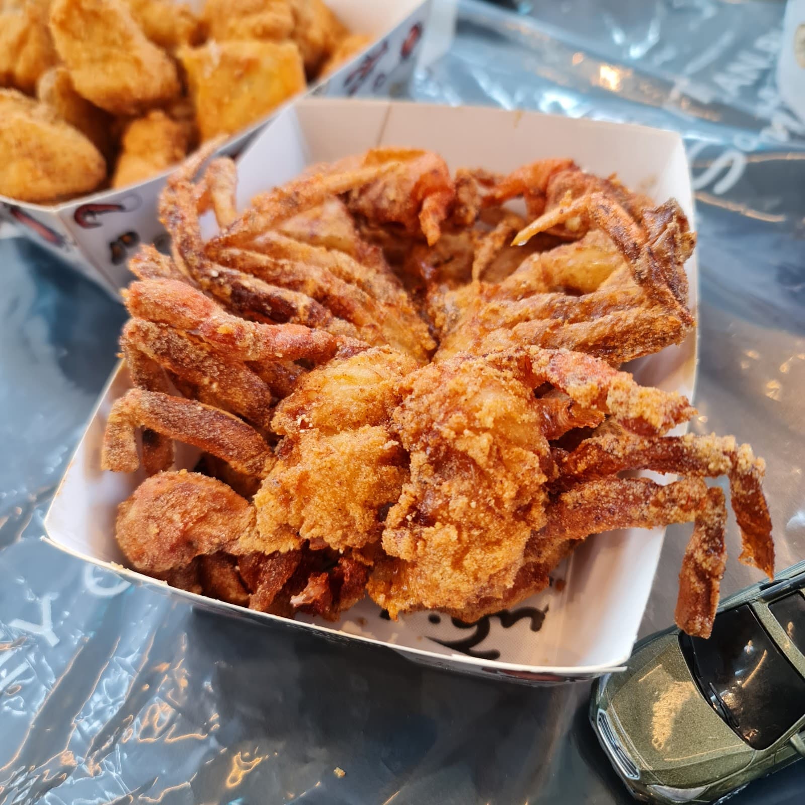Shrimp Zone