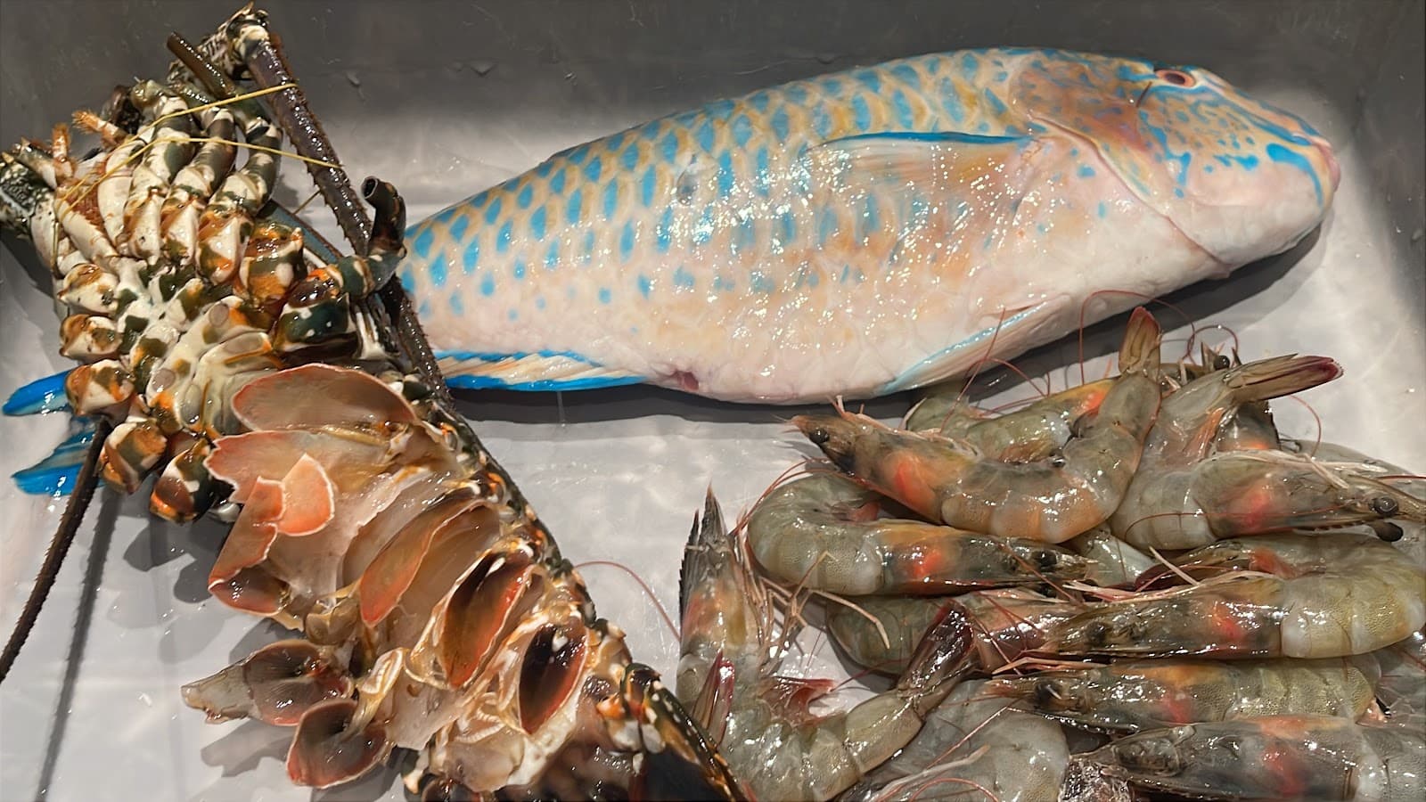 Twina Seafood