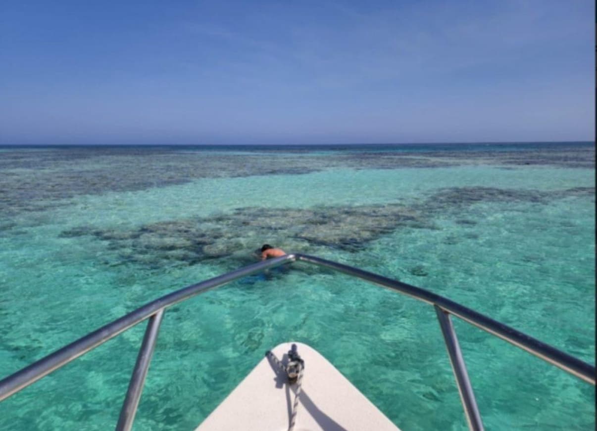 Bayadah Tours – Marine Tours