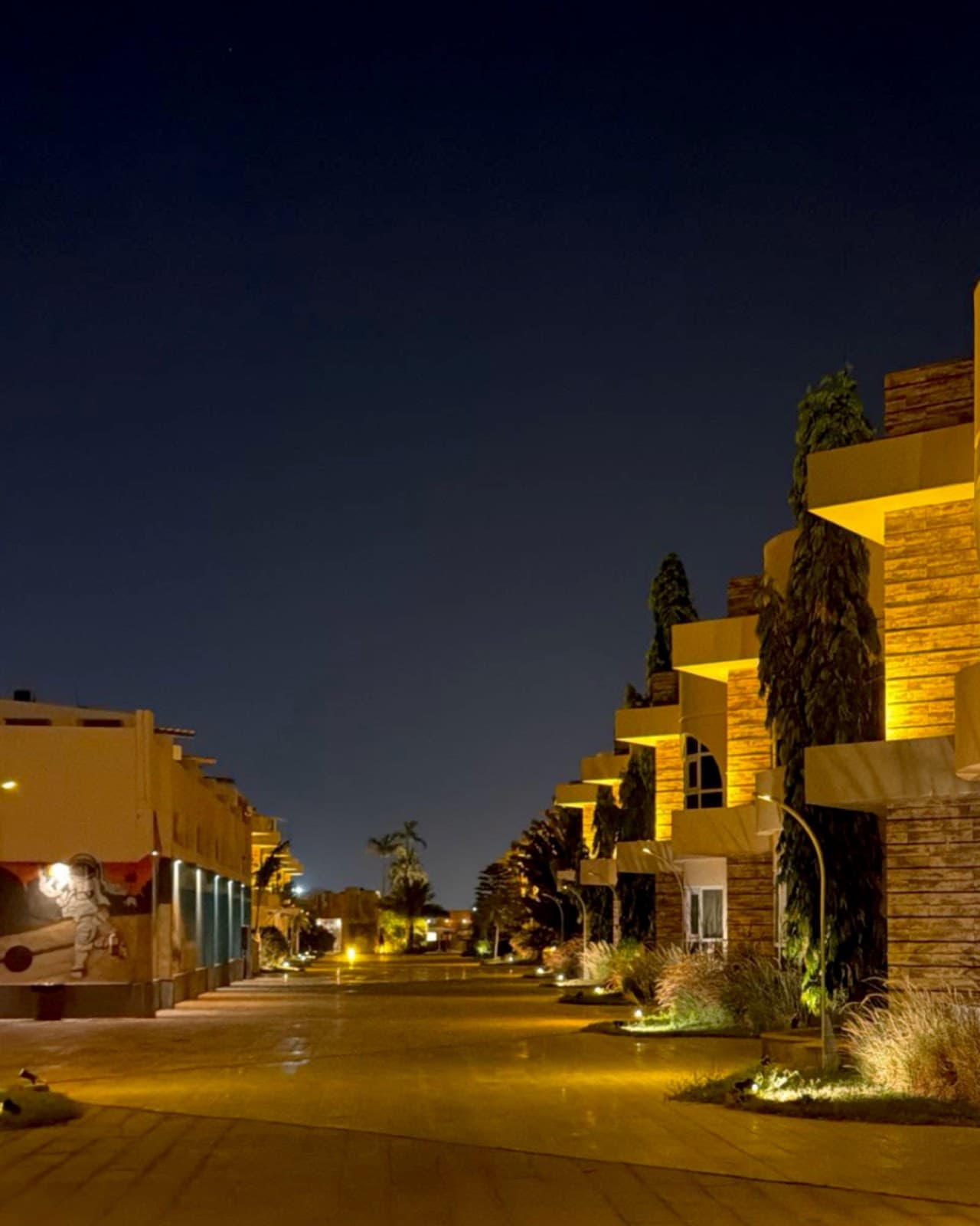 شاطئ مانجروف