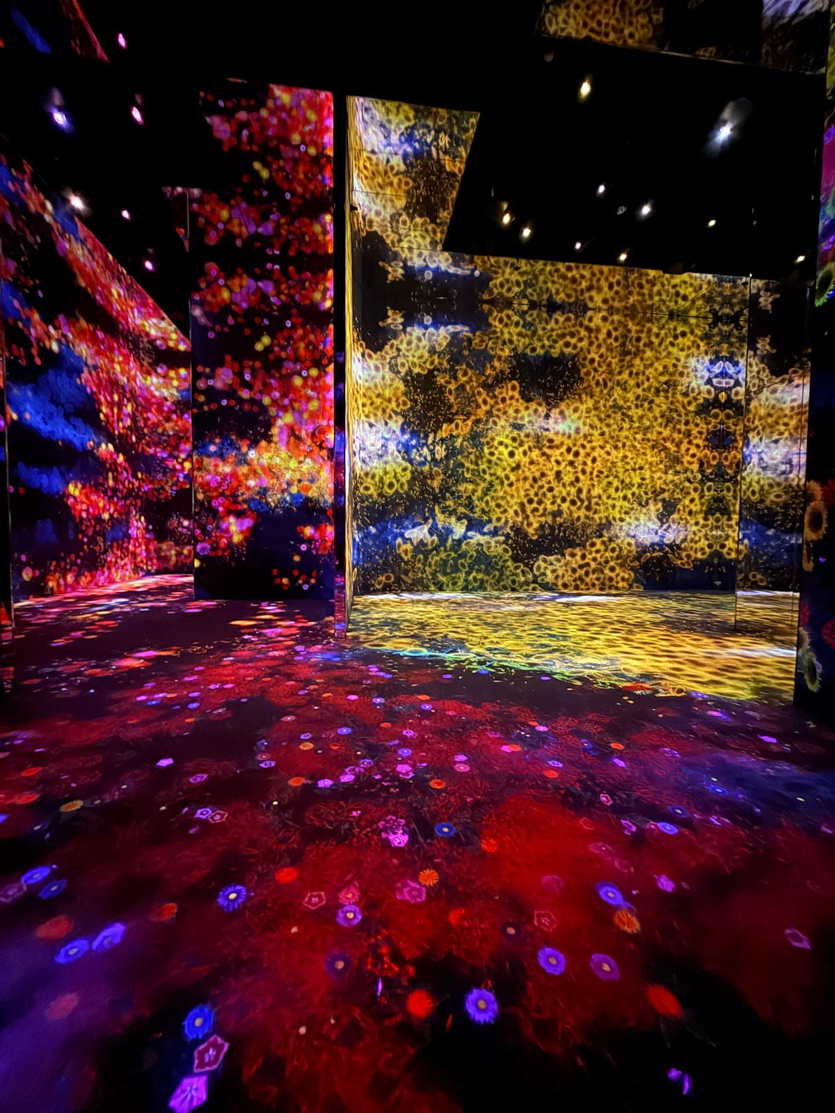 teamLab Borderless Jeddah