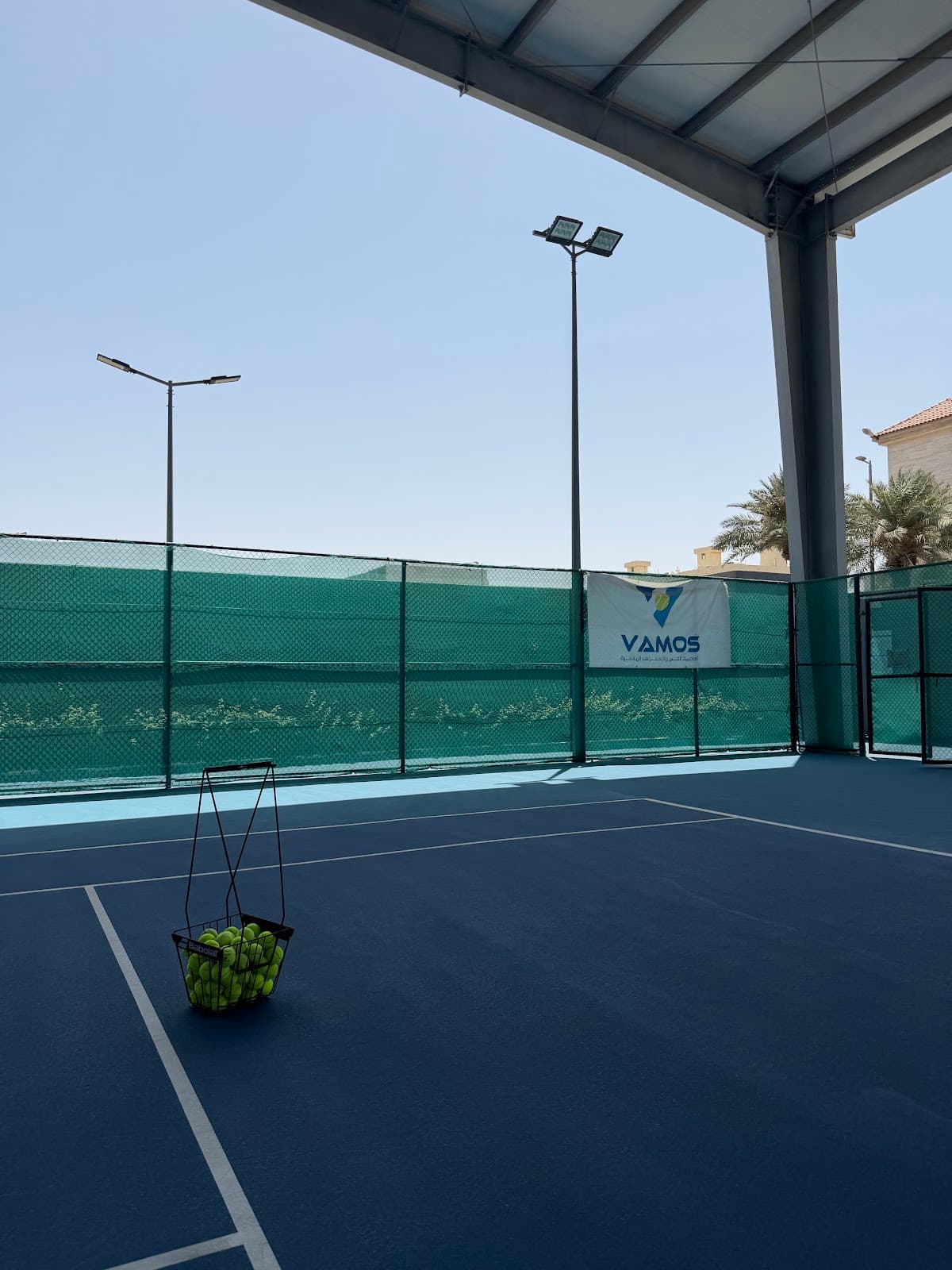 The Professional Tennis Academy - Vamos