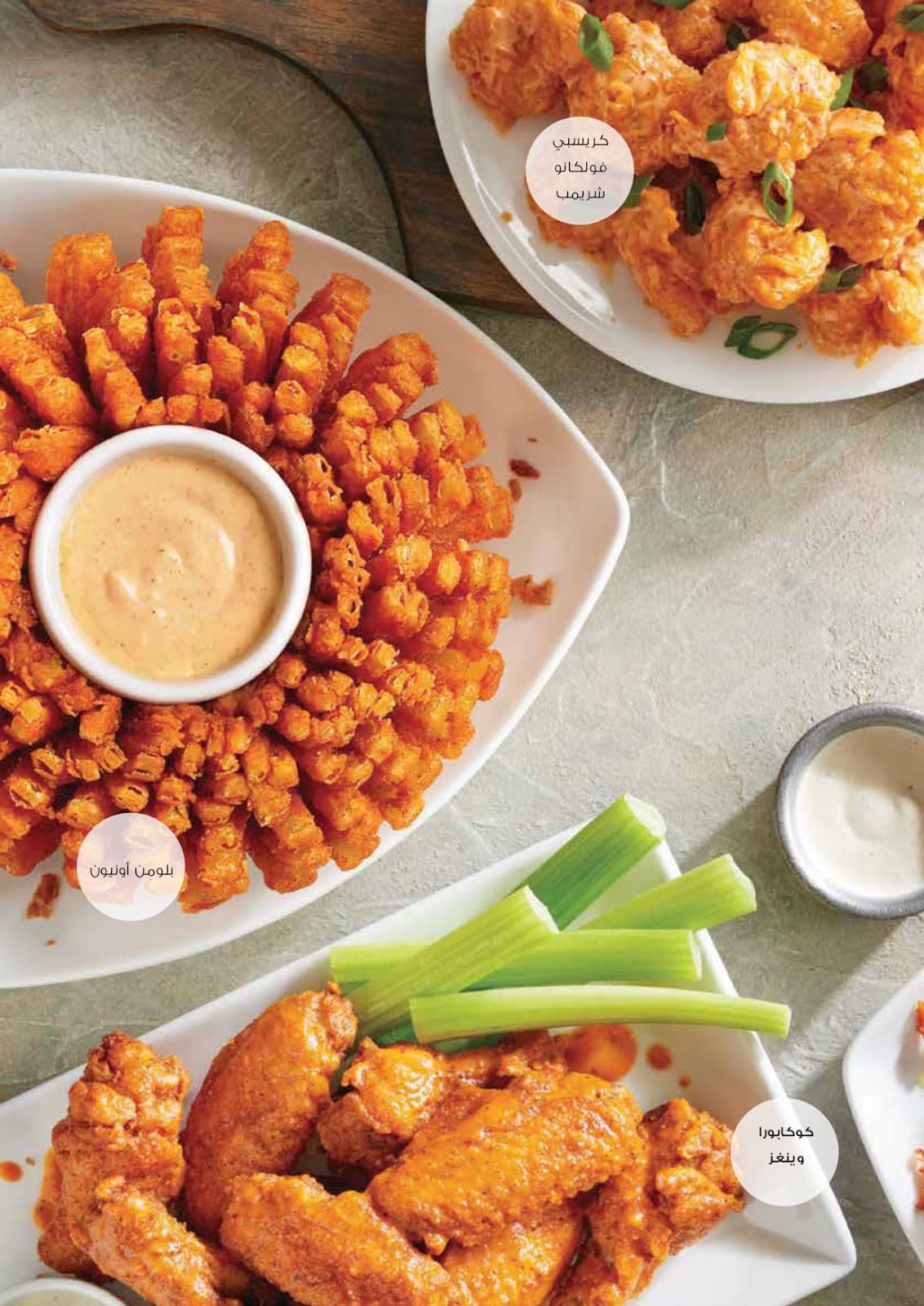 Outback Steakhouse