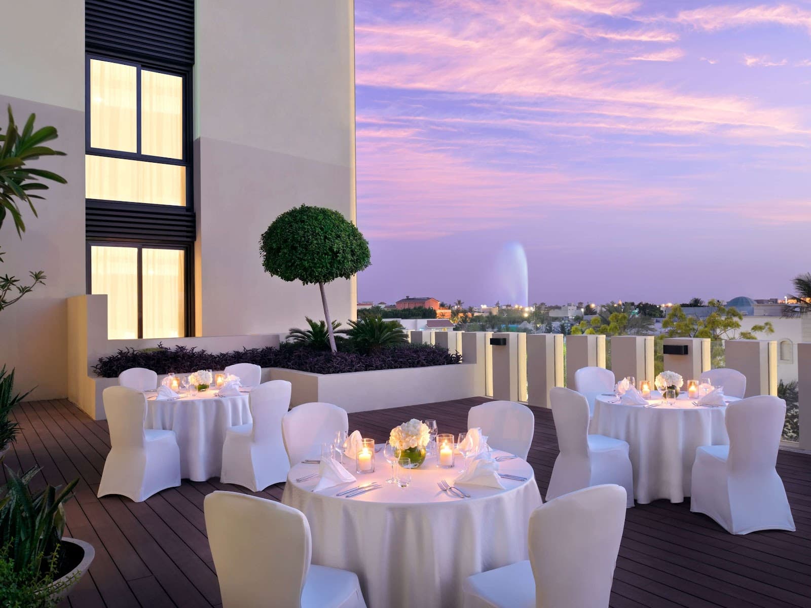 The Roof Garden