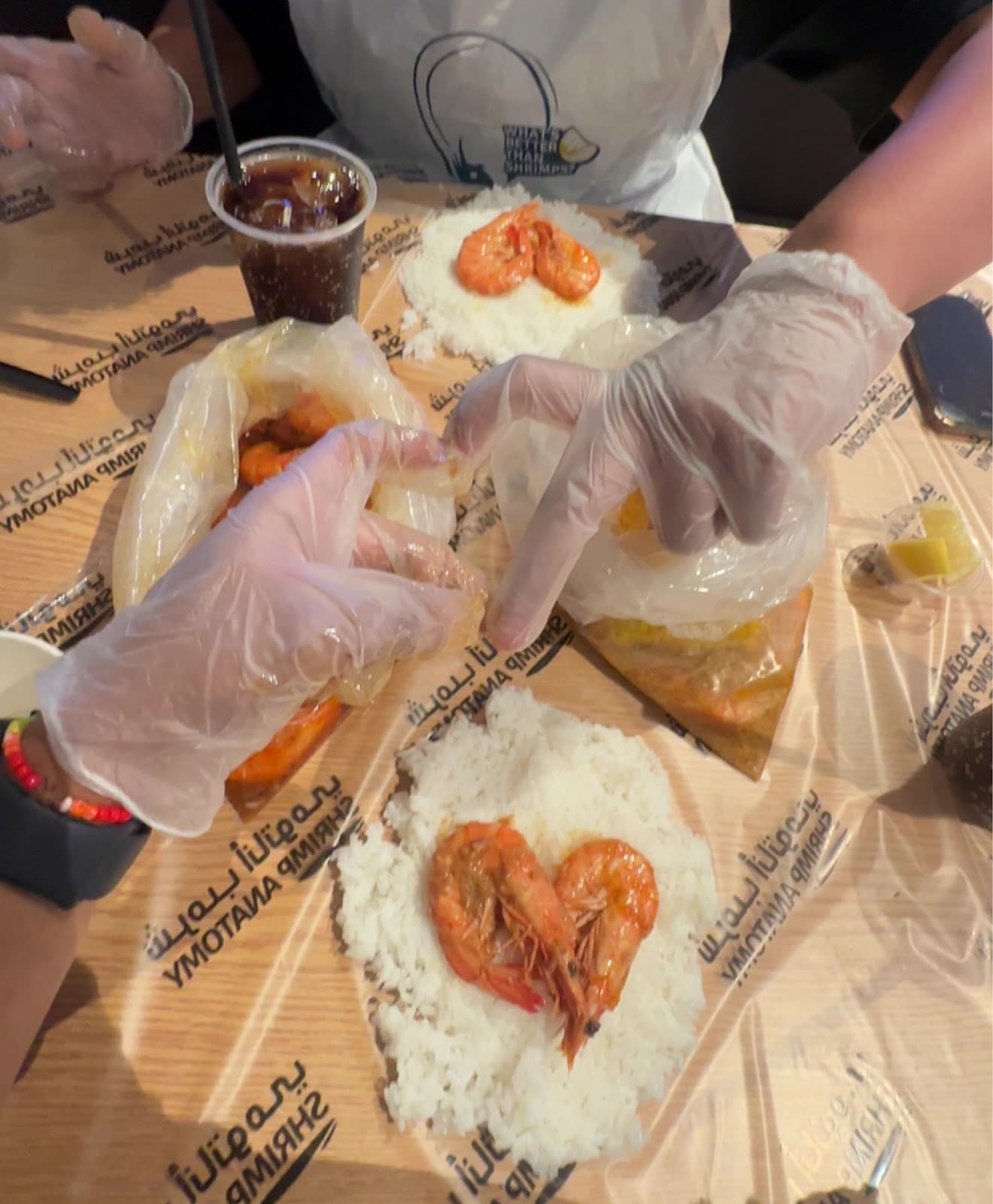 Shrimp Anatomy