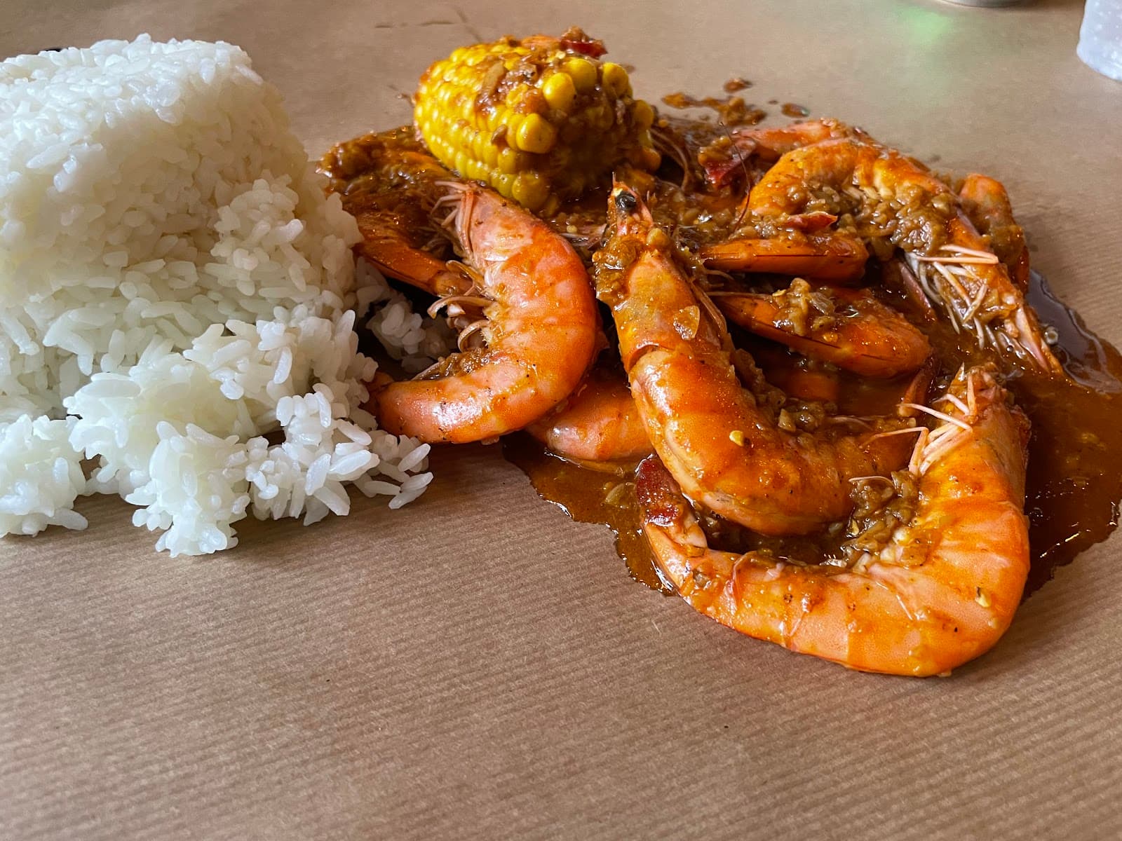 Shrimp Anatomy