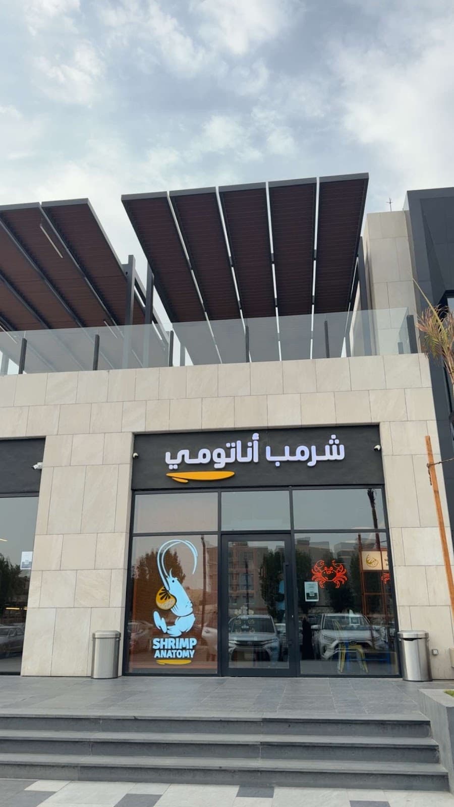 شرمب اناتومي