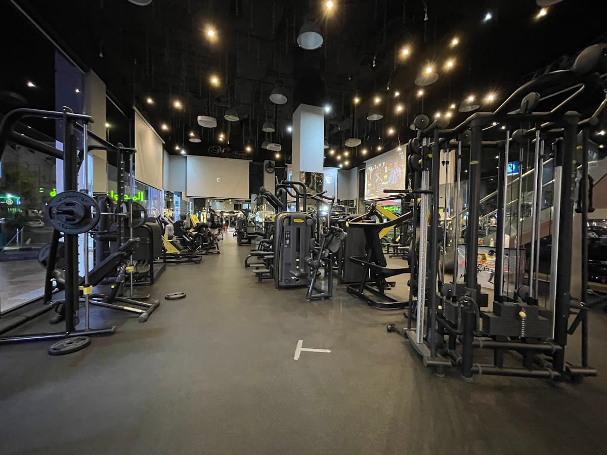 My Gym