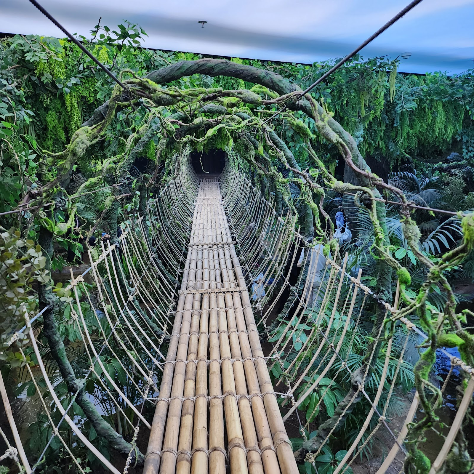 TROPICAL LAND تروبيكال لاند - أماكن للأطفال في جدة - 3