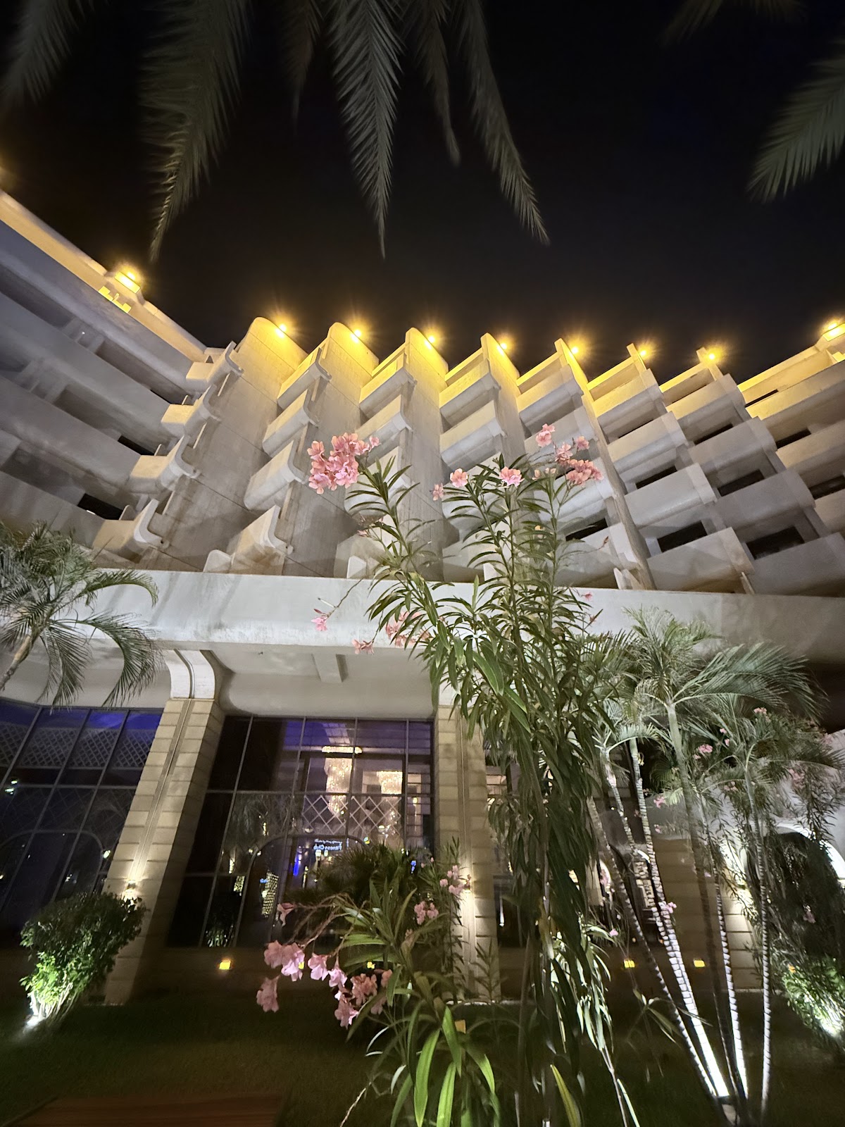 Tea Garden | حديقة الشاي - Cafés in Jeddah - 6
