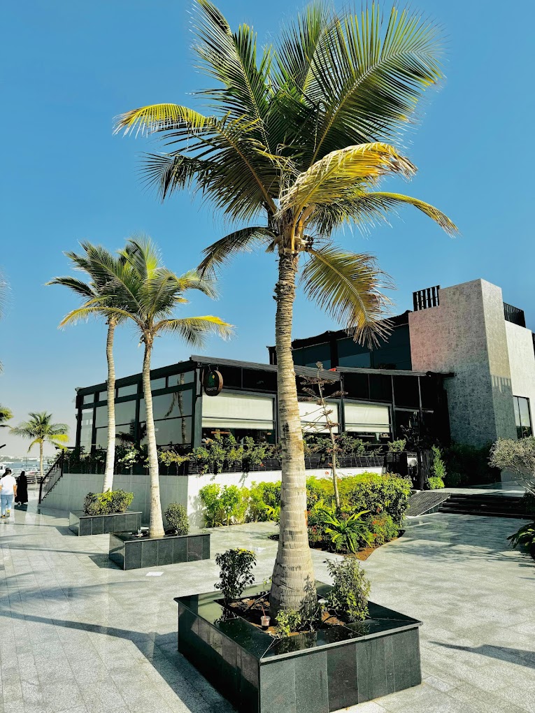 مستر هاكنز أبحر - مطاعم في جدة - 6