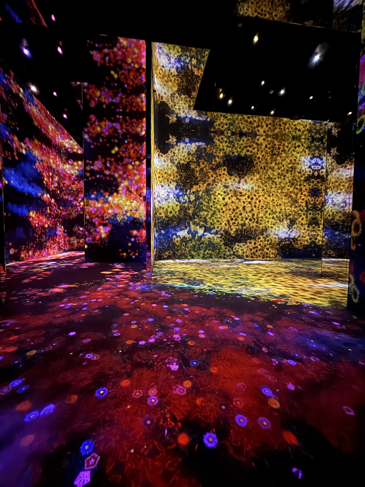 teamLab Borderless Jeddah