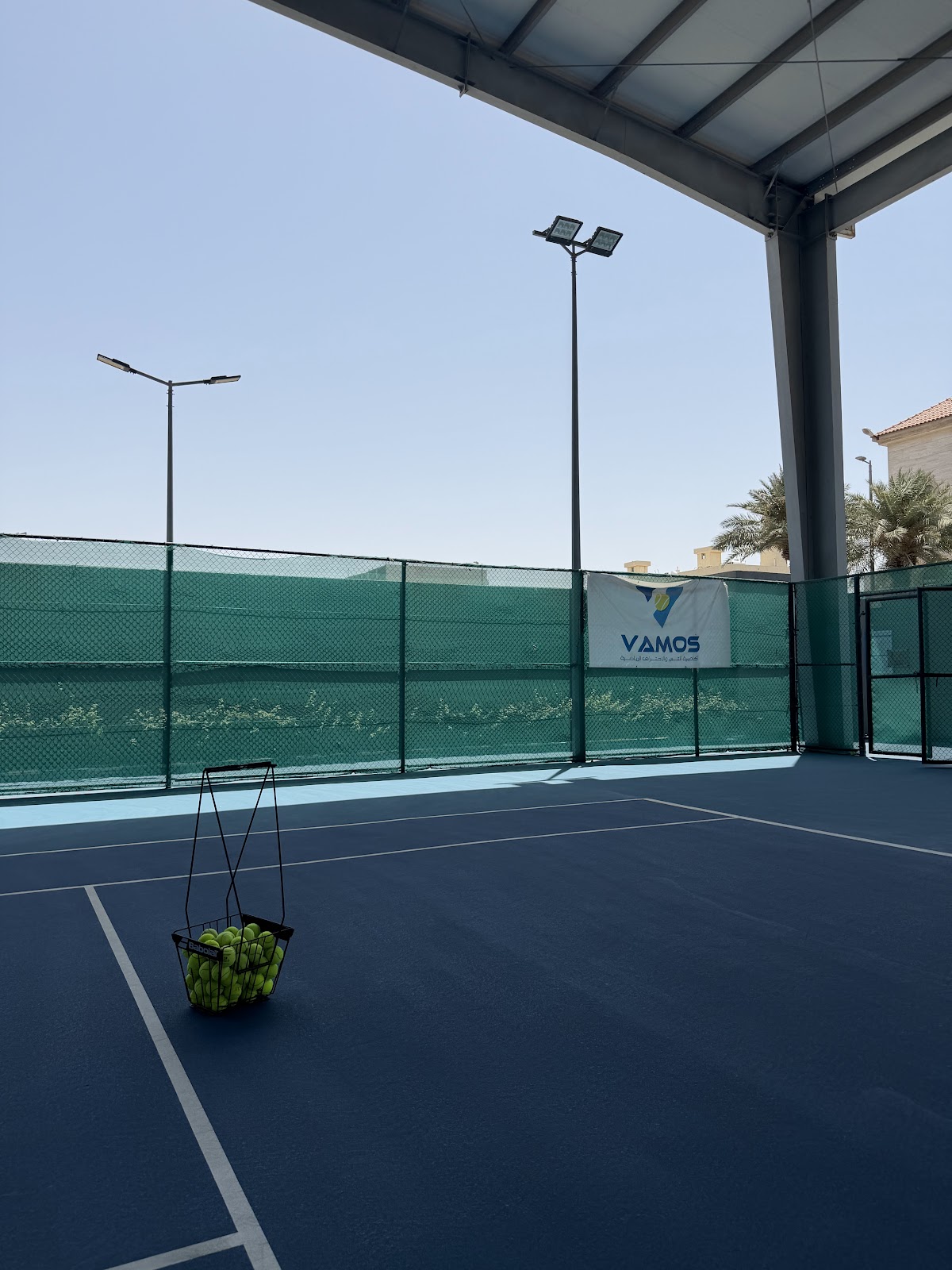 أكاديمية التنس والاحتراف الرياضية (VAMOS) - The Professional Tennis Academy
