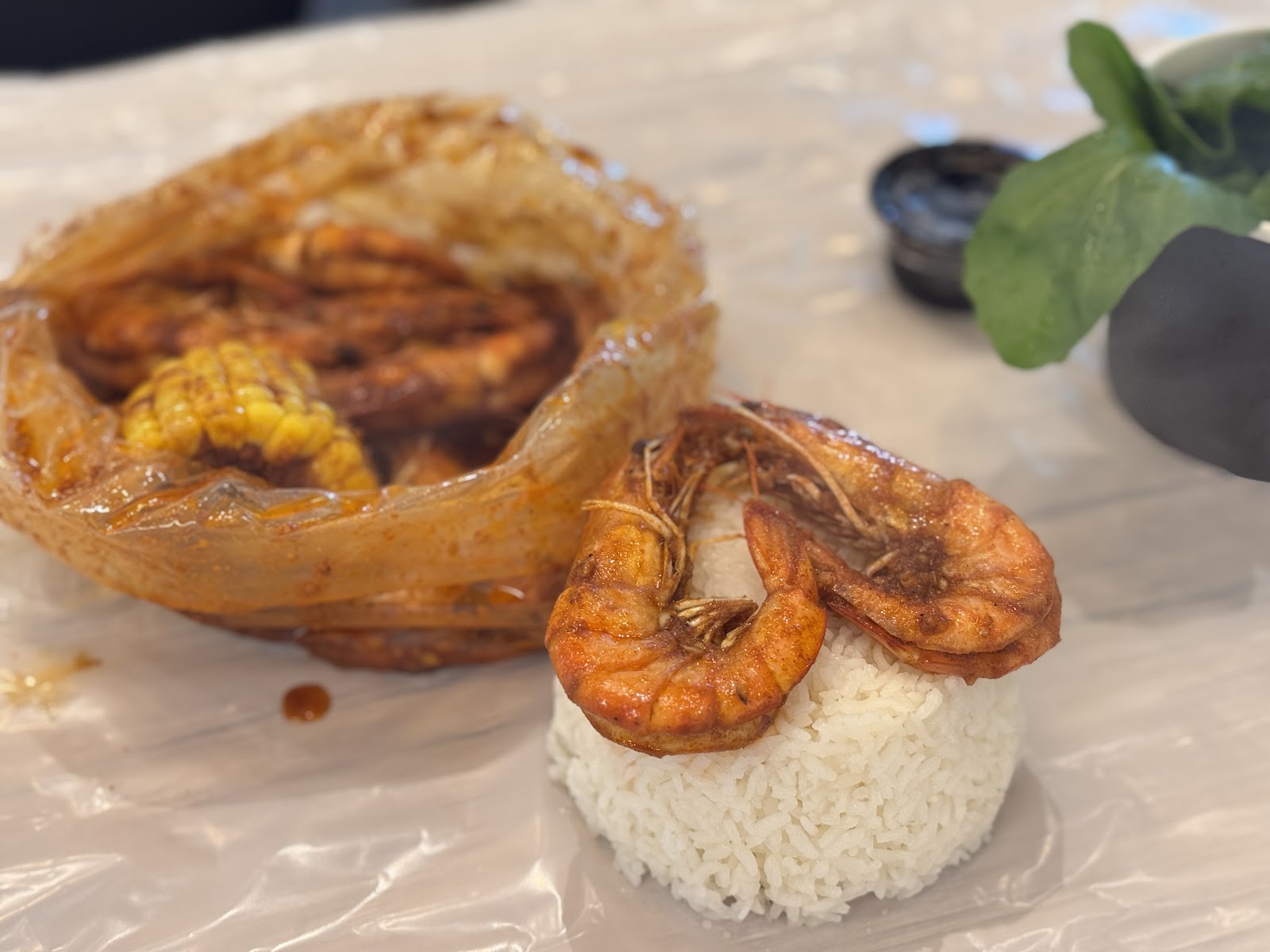 Crab Plus كراب بلس
